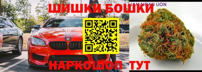 прущие грибы Кулебаки