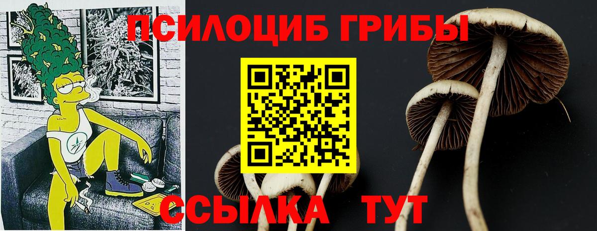 Галлюциногенные грибы GOLDEN TEACHER Воскресенск